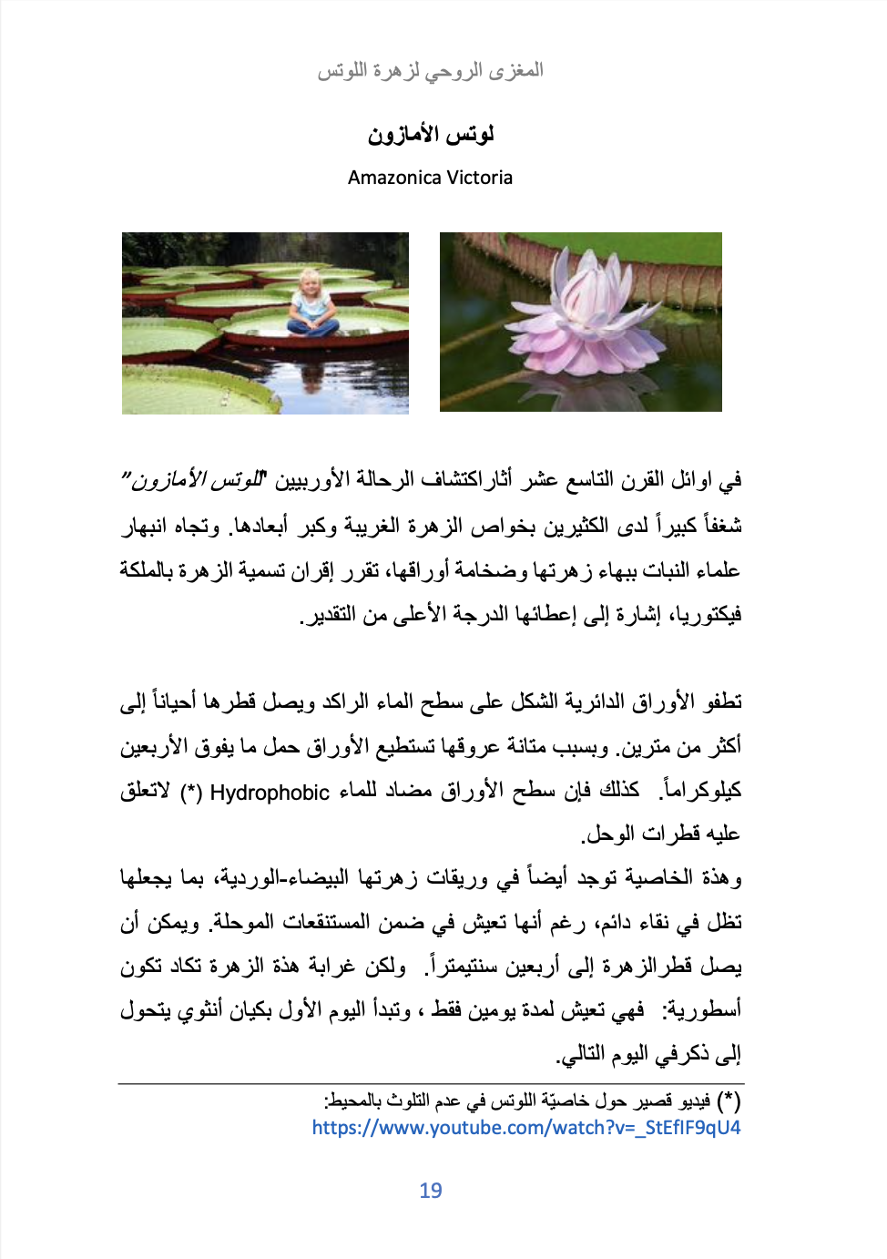 المعنى الإنساني لزهرة اللوتس