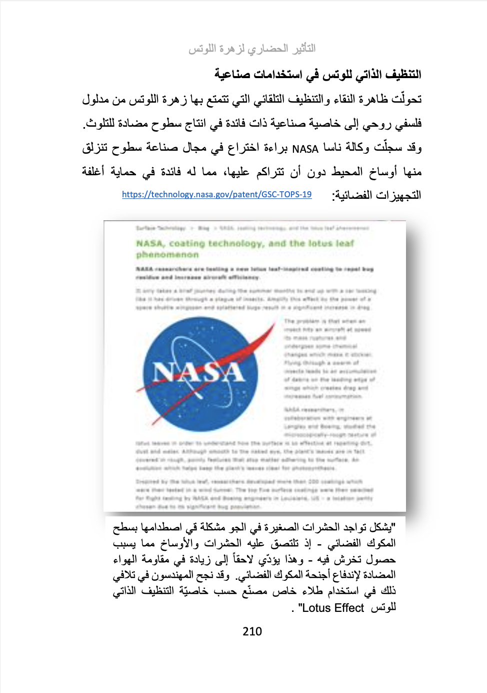 المعنى الإنساني لزهرة اللوتس