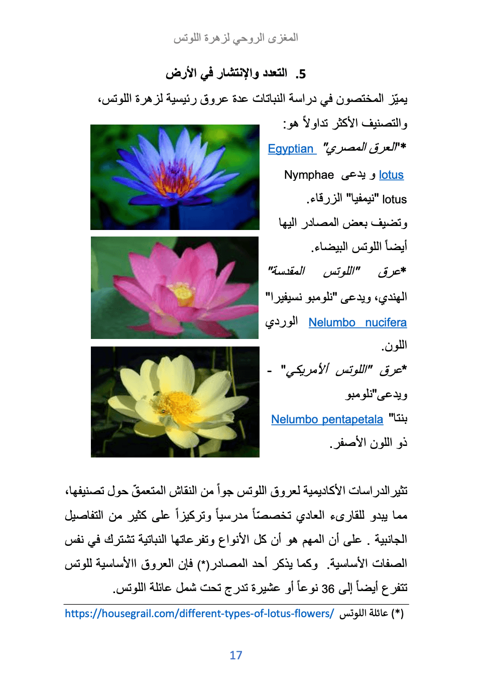 المعنى الإنساني لزهرة اللوتس