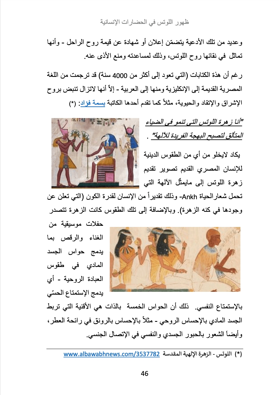 المعنى الإنساني لزهرة اللوتس
